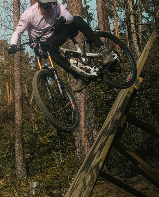 Remontes Gavín Bike Park